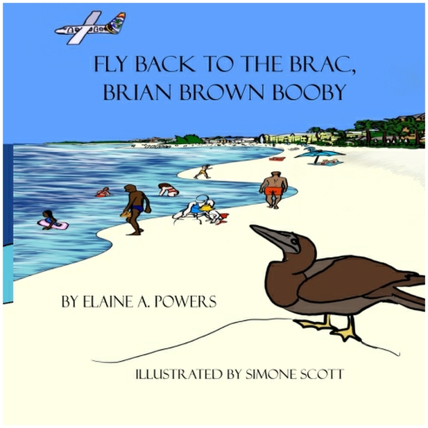 image of book cover of a brown booby bird in cayman brac