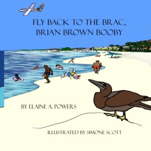Book cover with illustration of a brown booby sitting on a sandy beach as people play in the water behind it.