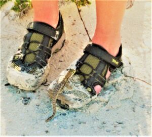 two feet in sneakers, on a beach, with a Bahamian curly-tail lizard on left shoe