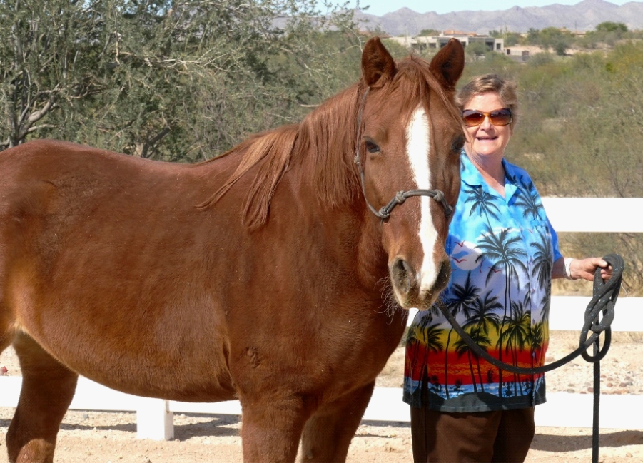 photo of author Elaine Powers with Button, a missiouri fox-trotter