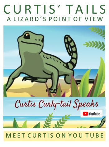 graphic of a curly-tail lizard