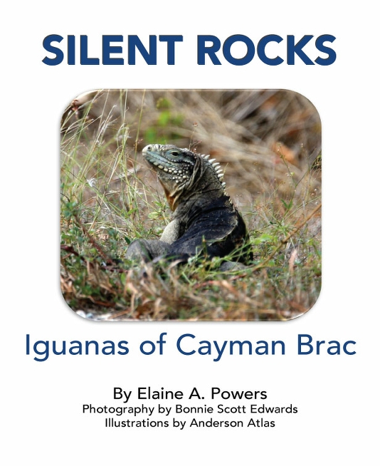 a book cover with a photograph of an iguana on the island of Cayman Brac