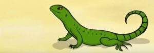 illustration of curtis curly-tail lizard