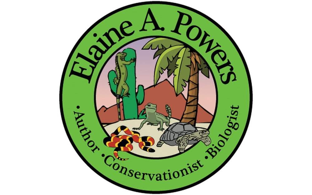 logo of Elaine A Powers