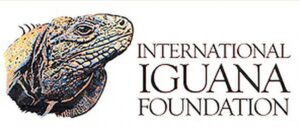 logo of Int'l Iguana Foundation, photo of iguana face
