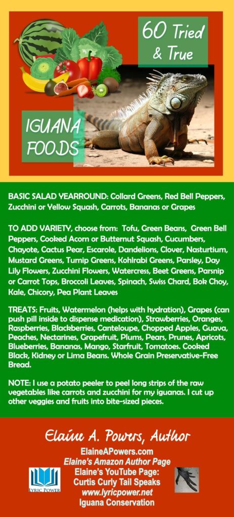 infographic listing 60 iguana foods