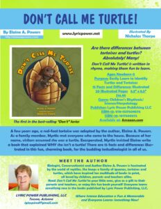 infographic for children's book Don't Call Me Turtle!