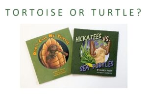 book covers turtle or tortoise