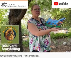 image of woman reading book at Tucson Botanical Gardens