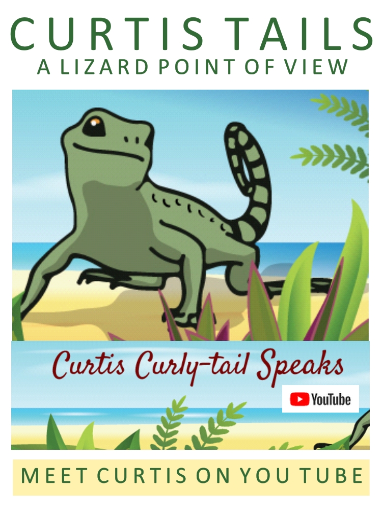 Did You Know There is More Than One “English?” by Curtis Curly-tail Lizard