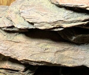 a rock from an iguana's enclosure