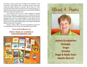 graphic of photo of and books by author Elaine A. Powers 