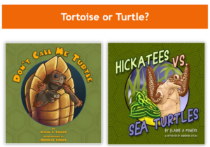 Two fun science books on tortoises and turtles