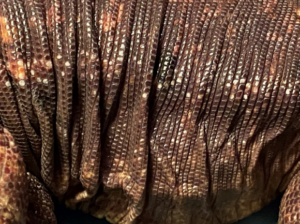 photo of new shiny tegu skin