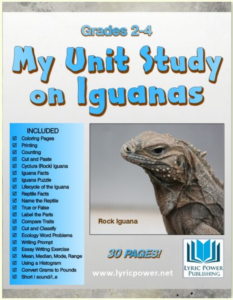image of workbook cover, all about iguanas