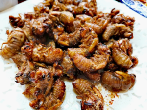 photo cooked cicadas