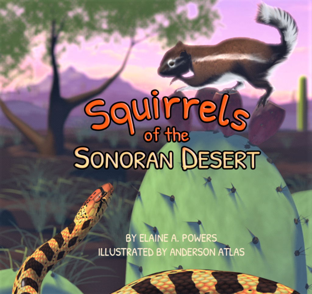 book cover for Squirrels of the Sonoran Desert