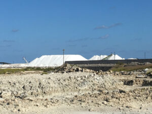 Sandy mounds with power poles and large piles of salt in the background.