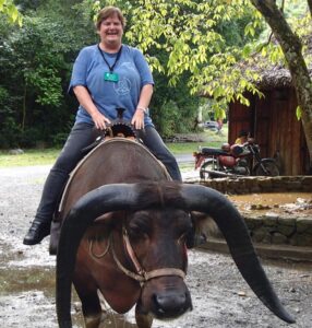 Elaine riding a water buffalo.