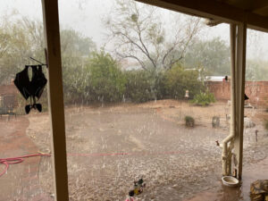 Rain pours into Elaine's backyard. 