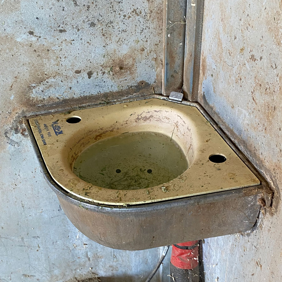 The small water trough in the horse stall.