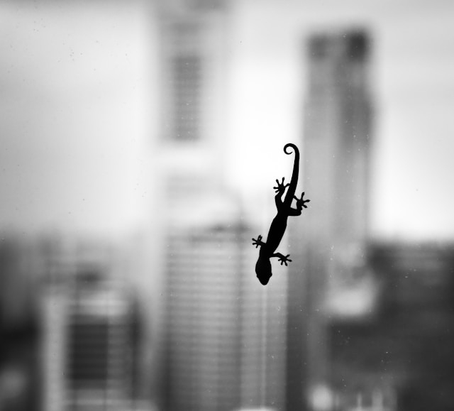 A gecko crawls across a window with a cityscape in the background.