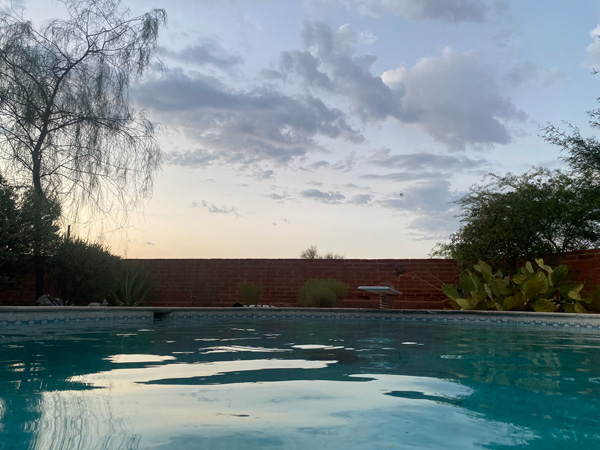 A group of doves line the wall surrounding Elaine's pool