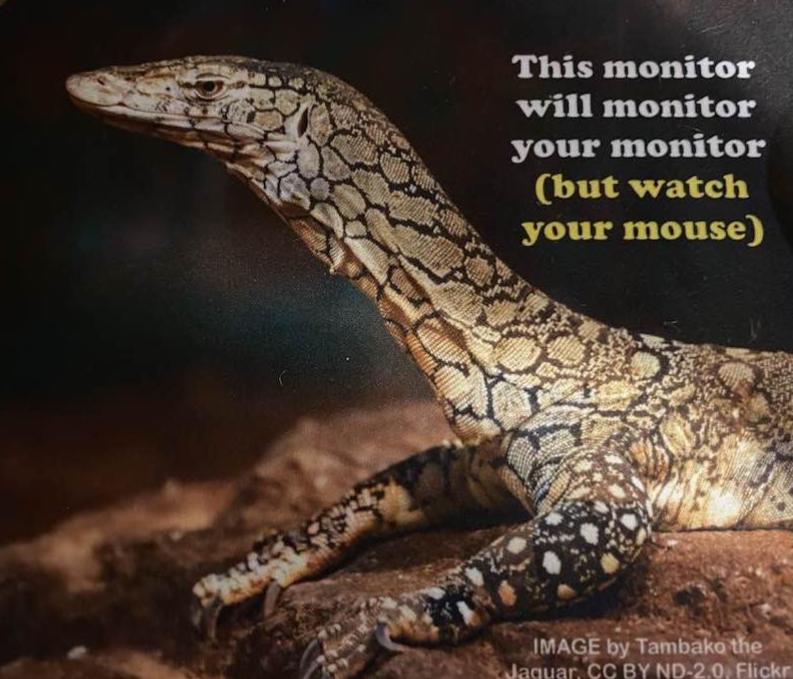 Elaine's monitor mouse pad, it is a picture of a monitor lizard that reads "This monitor will monitor your monitor but watch your mouse."