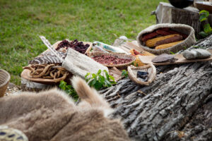 A variety of Native American foods including corn, berries, and mesquite pods laid out on a fallen tree.